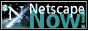 Netscape Navigator